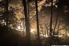 Xác định được 3 người đốt thực bì gây cháy gần 20 ha rừng ở Nghệ An