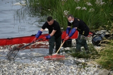 Ba Lan: Chưa phát hiện thấy chất độc khiến hàng tấn cá chết trên sông Oder