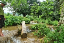Phát hiện nhiều lóng gỗ trước khu nhà xây trái phép trong rừng ở Cẩm Thủy, Thanh Hoá