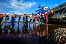 Thi tìm hiểu kiến thức biển, đảo Việt Nam ‘Tổ quốc bên bờ sóng’ 2022