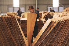 Hoa Kỳ gia hạn điều tra chống lẩn tránh thuế với gỗ dán từ Việt Nam