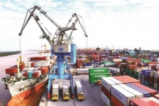 Tập đoàn Container Việt Nam (Viconship) chào bán 40 triệu cổ phiếu dưới thị giá 46%