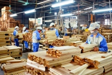 Doanh nghiệp gỗ đang đối mặt khó khăn giảm đơn hàng