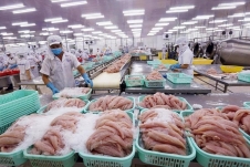 Mỹ là thị trường xuất khẩu thủy hải sản lớn nhất của Việt Nam trong 9 tháng