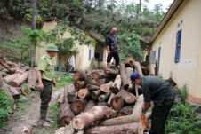 Vụ phá rừng quy mô lớn tại huyện Chợ Đồn (Bắc Kạn): Xuất hiện một số hợp đồng mua bán