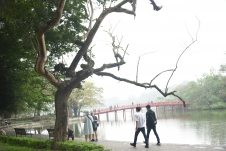 Cận cảnh 3 cây gỗ sưa chết khô bên hồ Hoàn Kiếm