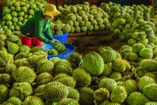 Xuất khẩu rau quả Việt Nam ước đạt 520 triệu USD trong 4 tháng đầu năm 2024