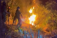 Nghệ An: Cháy rừng dữ dội, sơ tán người dân trong trong đêm