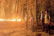 Công an làm việc với 4 người liên quan vụ cháy rừng ở Nghệ An