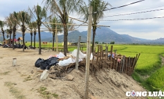 Quán cà phê “mọc” giữa ruộng: UBND huyện Chư Păh chỉ đạo kiểm tra, xử lý