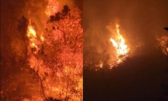 Ninh Bình có 24.711 ha diện tích rừng dễ cháy