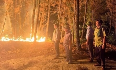 Công an làm việc với 4 người liên quan vụ cháy rừng ở Nghệ An