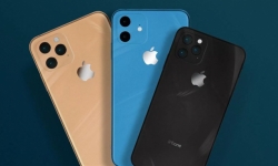 Ngày ra mắt iPhone 2019 bị tiết lộ bởi chủ tịch SoftBank