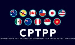 Thấy rõ cơ hội tăng trưởng, Thái Lan vẫn tạm hoãn xem xét gia nhập CPTPP