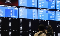 Thị trường chứng khoán Nhật Bản rơi vào bế tắc bởi sự cố tồi tệ nhất