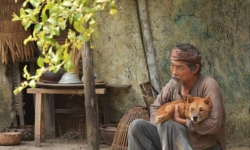 Phim Việt thất bại: Vì chưa chạm tới trái tim khán giả