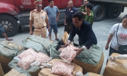 Thừa Thiên – Huế: Phát hiện, bắt giữ xe tải chở hơn 1,5 tấn sụn gà “bẩn”