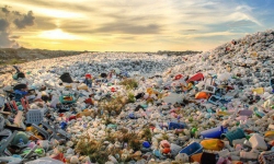 Rác thải nhựa đang hủy hoại tự nhiên như thế nào?