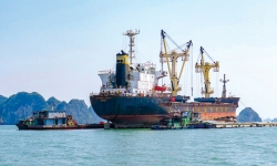 Xuất nhập khẩu hàng hóa bằng tàu Việt