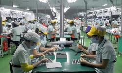 Năng lực xuất khẩu của doanh nghiệp Việt đang dần cải thiện