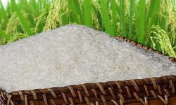 Giá gạo của Ấn Độ và Việt Nam giảm do nhu cầu