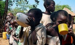 FAO: Hơn 34 triệu người trên toàn thế giới đang đối mặt nạn đói nghiêm trọng