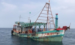 Cảnh sát biển bắt giữ tàu chở 100.000 lít dầu lậu trên biển Kiên Giang
