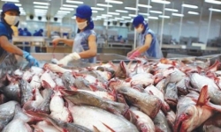 Việt Nam xuất khẩu 4,8 tỷ USD hàng hóa vào EU nhờ EVFTA