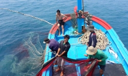 Tàu câu mực và 9 ngư dân Quảng Nam bị bắt giữ ở Thái Lan