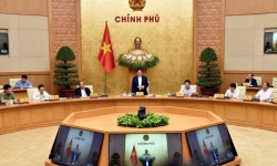 Giao Phó Thủ tướng Lê Văn Thành chỉ đạo hoàn thiện lại đối tượng đánh giá sơ bộ tác động môi trường