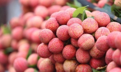 Nông sản Việt được “giải cứu” trên các chợ online
