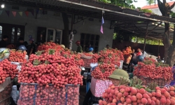 Bắc Giang đề nghị các tỉnh, thành phố tạo điều kiện lưu thông hàng hóa, nông sản