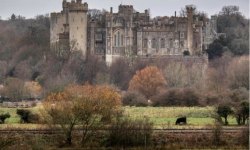 Kho báu 1 triệu bảng Anh bị đánh cắp chớp nhoáng trong lâu đài cổ