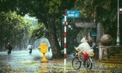 Dự báo thời tiết 11/6: Cảnh báo mưa lớn ở Bắc Bộ, Thanh Hóa và Nghệ An