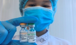 Vì sao vắc xin Nano Covax chưa đủ điều kiện cấp phép khẩn cấp?