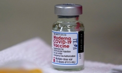 Bộ Y tế phê duyệt vaccine Moderna COVID-19 cho nhu cầu cấp bách