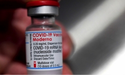 Nhờ vắc-xin chống Covid-19, vốn hóa tập đoàn Moderna vượt mốc 100 tỷ USD