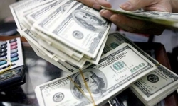 Tỷ giá ngoại tệ hôm nay 7/8: Đồng USD bật tăng, Hoa Kỳ có thể thắt chặt chính sách tiền tệ sớm