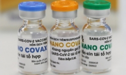 Thủ tướng yêu cầu giảm bớt quy trình cấp phép và sử dụng vaccine Nanocovax nhưng phải đảm bảo chặt chẽ