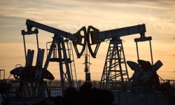 Giá xăng dầu hôm nay 9/8: Lo ngại hạn chế đi lại, giá dầu tiếp tục giảm hơn 1%