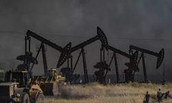 Giá xăng dầu hôm nay 12/8: Giảm trở lại khi Mỹ “bật đèn xanh” để OPEC+ tăng sản lượng