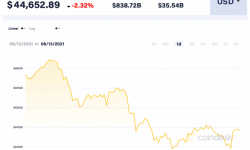 Giá Bitcoin hôm nay 13/8: Trượt xuống mức 44.600 USD