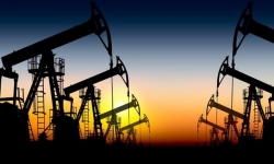 Giá xăng dầu hôm nay 14/8: Giảm mạnh khi nhu cầu “đột ngột đảo chiều”