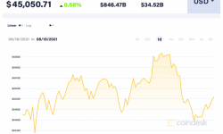 Giá Bitcoin hôm nay 19/8: Đi ngang trong bối cảnh nhu cầu dự kiến sẽ tăng