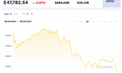 Giá Bitcoin hôm nay 25/8: Trượt về mức 48.000 USD