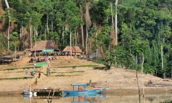 Thành lập Ban Quản lý Vườn Quốc gia Sông Thanh, tỉnh Quảng Nam