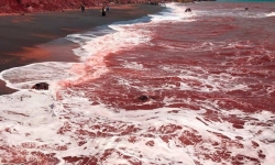 Khám phá bãi biển đỏ như máu kỳ bí ở Iran