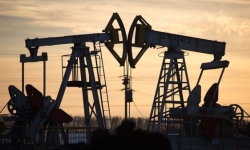 Giá xăng dầu hôm nay 2/9: Biến động nhẹ khi OPEC+ tăng dần sản lượng