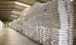 Xuất cấp 134.293 tấn gạo từ nguồn dự trữ quốc gia hỗ trợ người dân tại 27 địa phương