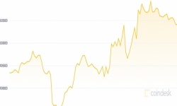 Giá Bitcoin hôm nay 4/9: Giữ mốc 50.000 USD, thị trường nóng lên